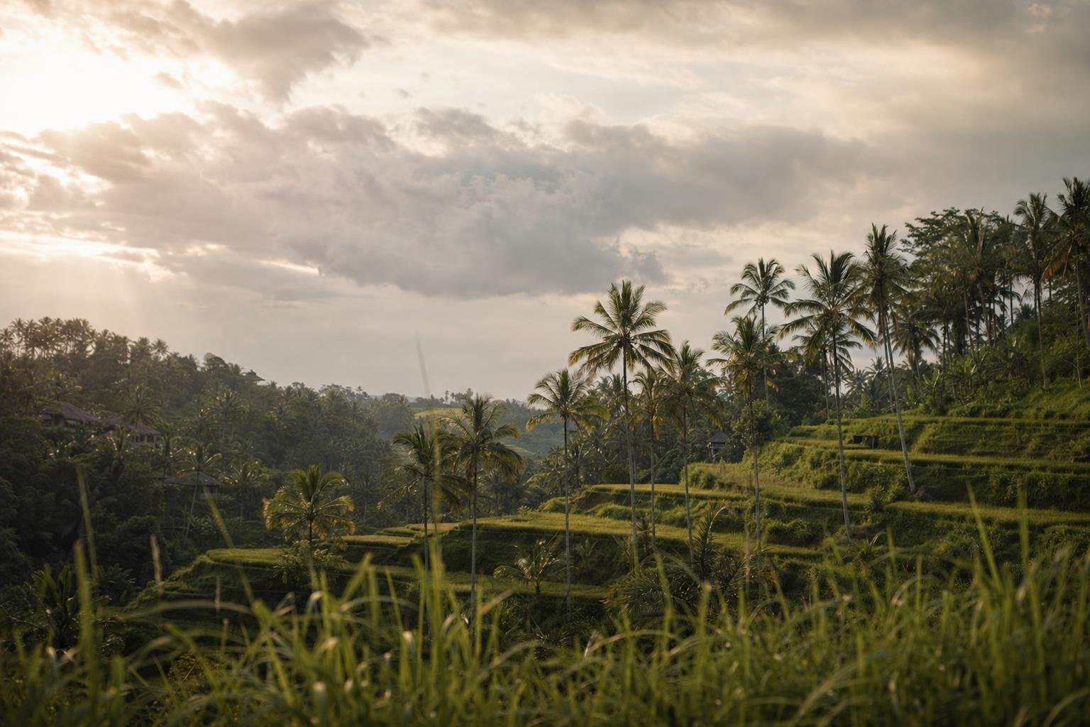 Meilleure période pour se marier à Bali